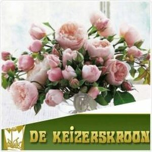 BLOEMISTERIJ DE KEIZERSKROON logo
