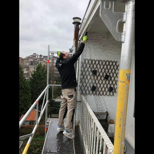 Protect Pest Control image 2