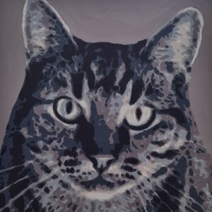 In de hoge hoed image 5