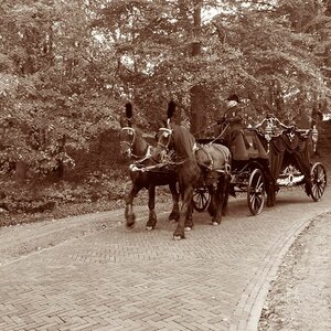 Uitvaartverzorging Uitendaal image 3