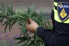 Grote hoeveelheid cashgeld, horloges en auto’s in beslag genomen