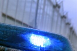 Gestolen auto’s in loods aangetroffen