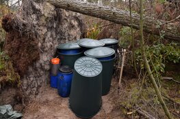 Drugsonderzoek Goudhaan: Bospercelen Venlo doorzocht