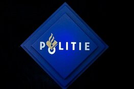 Gezocht: Bekogelen politieagent met stoeptegel