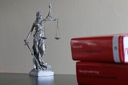 Eerste uitspraak in groot Pandora onderzoek: vijf jaar gevangenisstraf