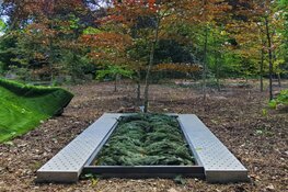 Nieuw in ’t Gooi, natuurbegraven
