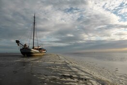 Zeilen met Ini Golbach