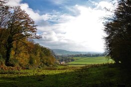 Verder met verrijking van het Limburgse landschap met oude elementen en voedselbossen