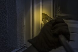 Vorig jaar minder schuurinbraken in Limburg