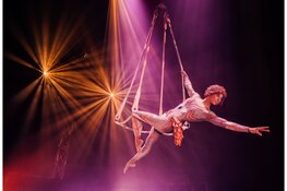 Kwaliteit bij Sandor Donnert’s Magical World of Circus