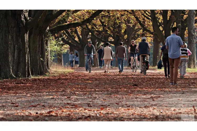 Overgang naar oktober verloopt met rustig herfstweer