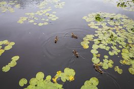 Wat vind jij van water in Limburg? Waterschap Limburg start publiekspeiling
