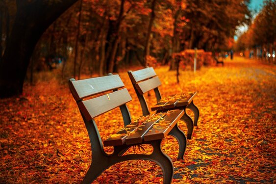 November start met rustig herfstweer, nachten worden frisser